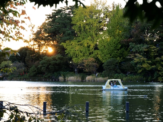 Senzokuike Park