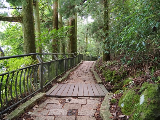 Torii of Peace