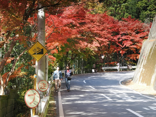 Tsukimachi Waterfall
