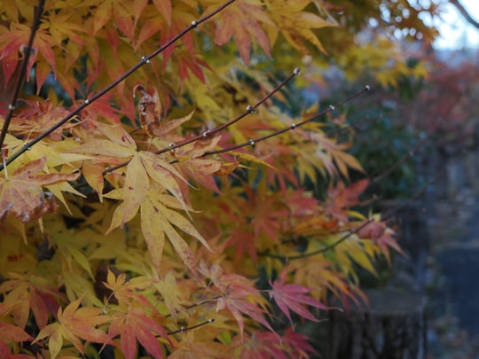 Tsumago-juku
