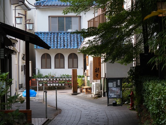 Kawazu