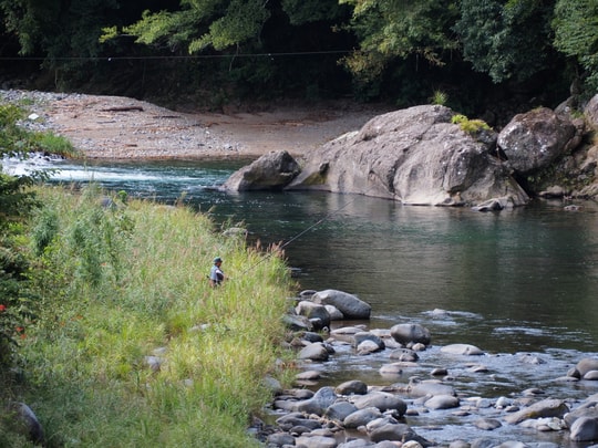 Kawazu