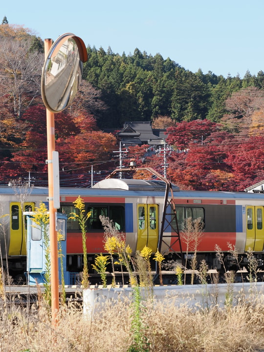 Daigo