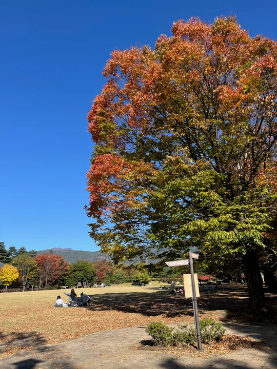 Agatanomori Park