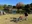 Agatanomori Park