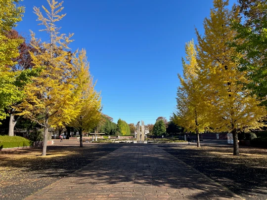 Akirudai Park