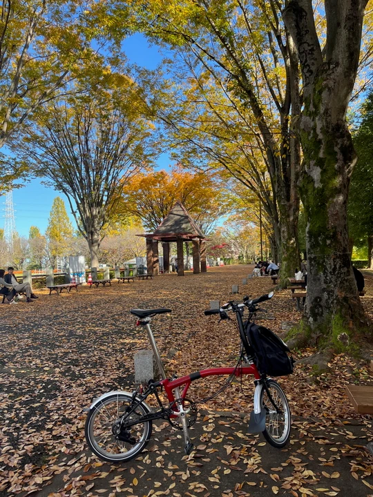 Akirudai Park