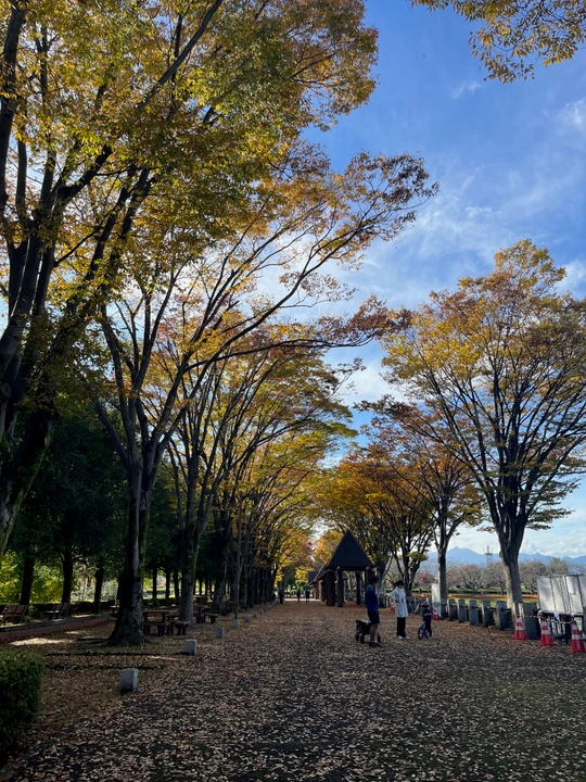 Akirudai Park