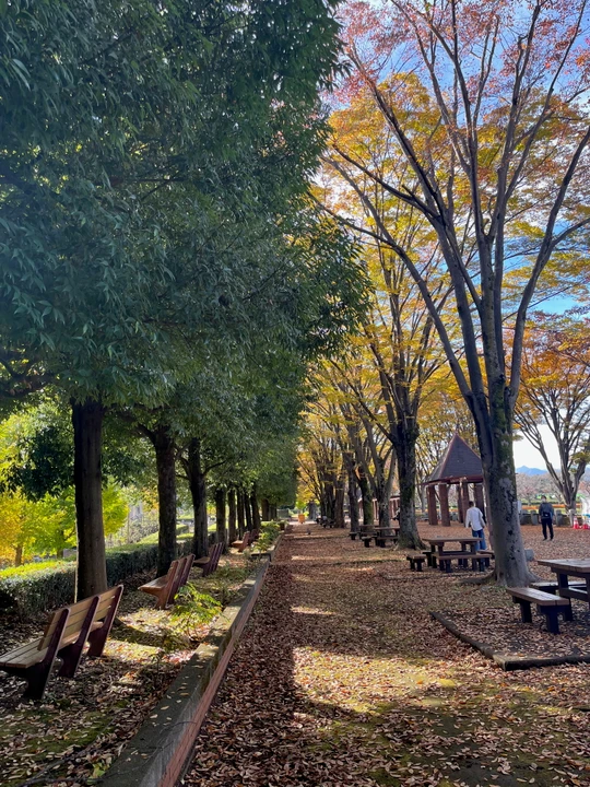 Akirudai Park