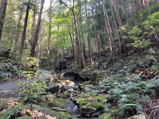 Amano Iwato Shrine