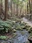 Amano Iwato Shrine