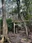 Amano Iwato Shrine