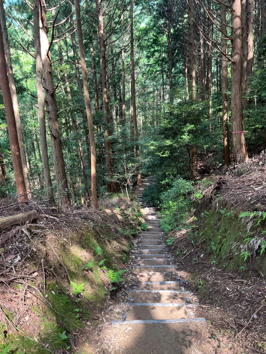Amano Iwato Shrine