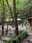 Amano Iwato Shrine