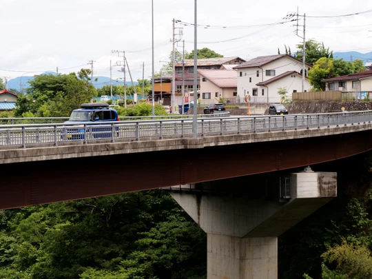 Anya Bridge