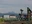 Arakawa River
