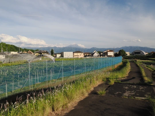 Arakawa River