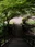Asahi Falls