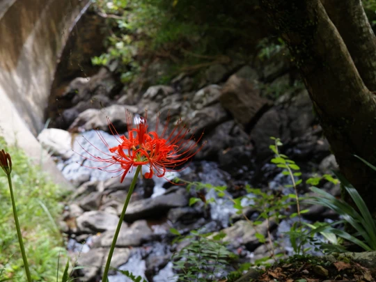 Asahi Falls