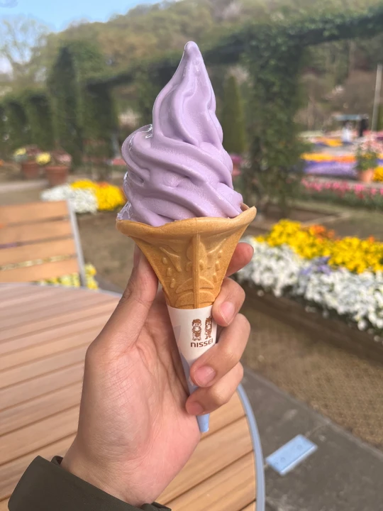 Ashikaga Flower Park