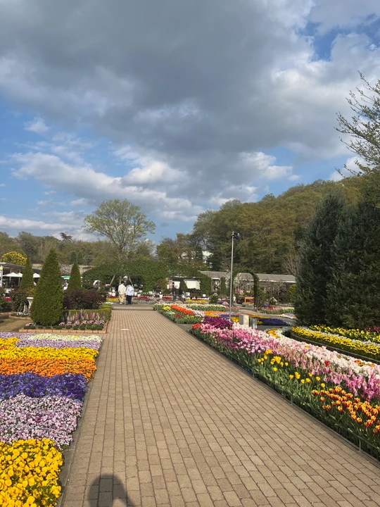Ashikaga Flower Park