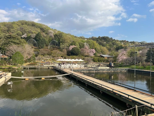 Ashikaga Flower Park