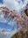 Ashikaga Flower Park