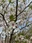 Ashikaga Flower Park