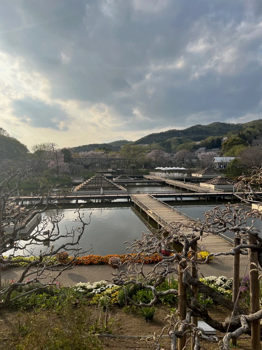 Ashikaga Flower Park