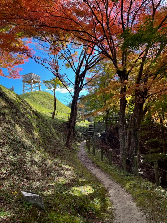 Asuke Castle Ruins
