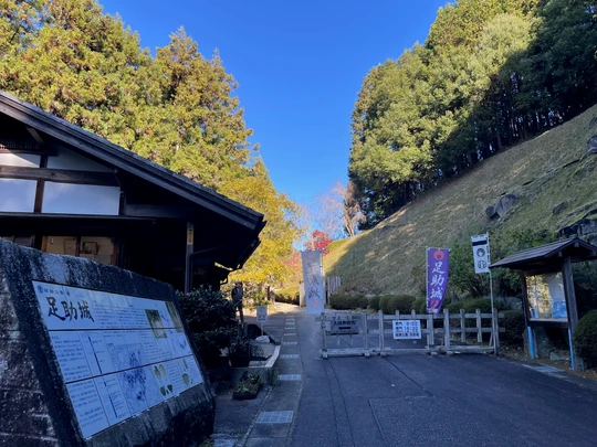 Asuke Castle Ruins