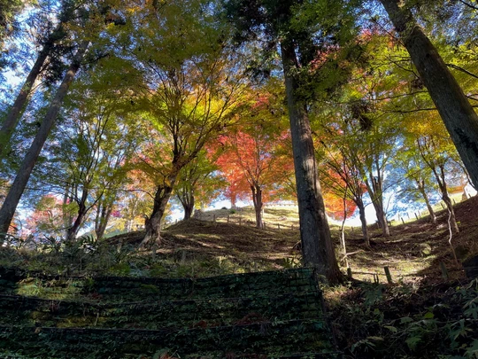 Asuke Castle Ruins