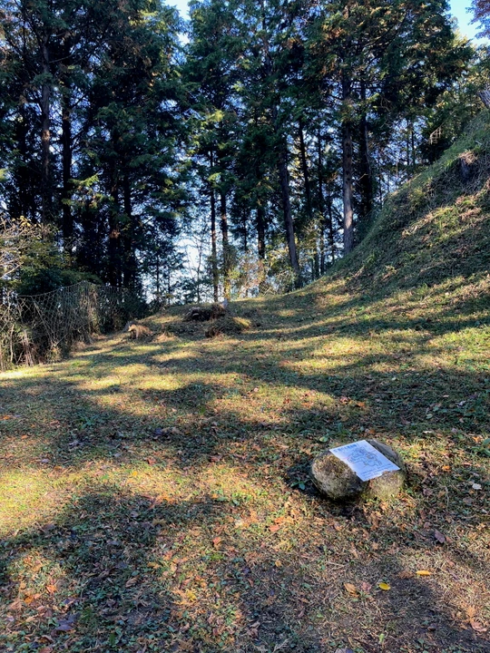 Asuke Castle Ruins