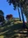 Asuke Castle Ruins