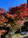 Asuke Castle Ruins