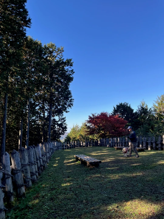 Asuke Castle Ruins