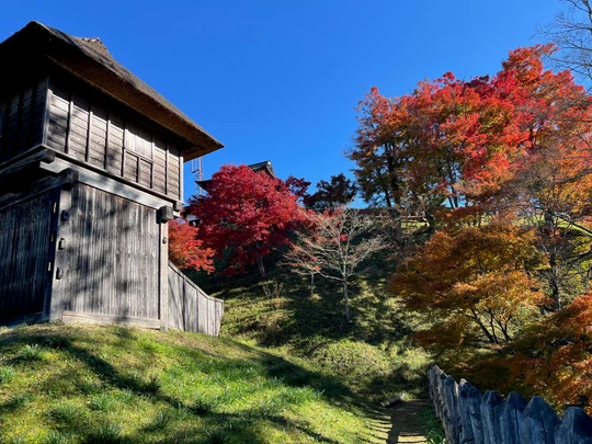 Asuke Castle Ruins