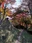 Asuke Castle Ruins