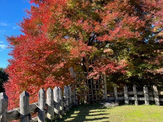 Asuke Castle Ruins