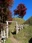 Asuke Castle Ruins