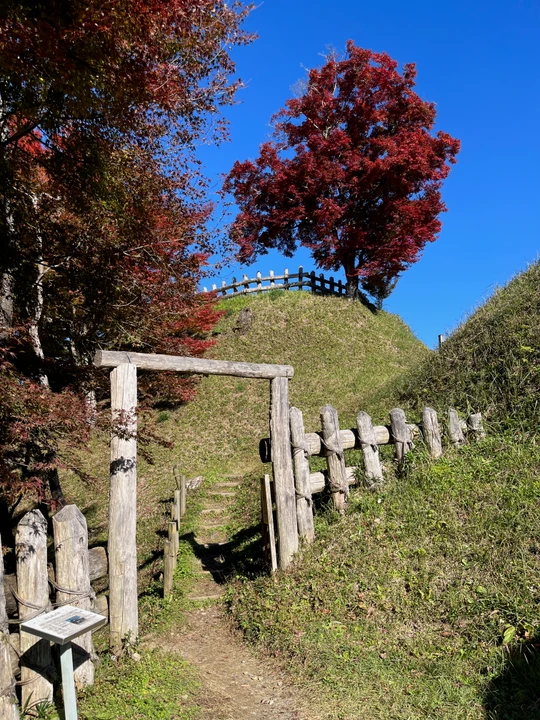 Asuke Castle Ruins
