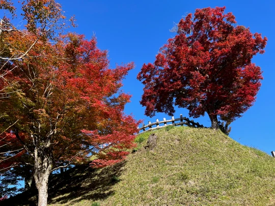 Asuke Castle Ruins
