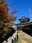 Asuke Castle Ruins