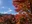 Asuke Castle Ruins