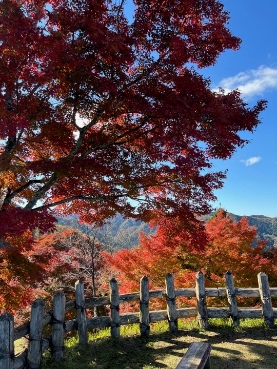 Asuke Castle Ruins