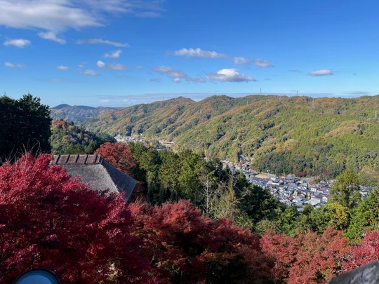 Asuke Castle Ruins