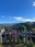 Asuke Castle Ruins
