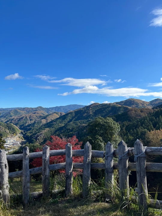 Asuke Castle Ruins