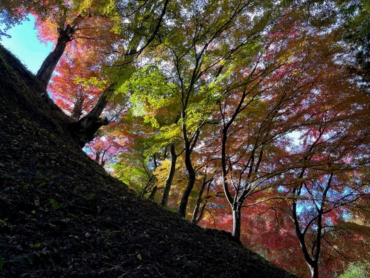 Asuke Castle Ruins