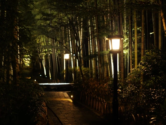 Bamboo Forest Path